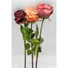 Selyemvirág Rózsa antik mûanyag 80cm bordó, mályva, narancs 3 féle