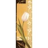 25x70 cm keprepro board